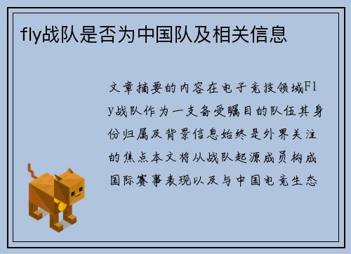 fly战队是否为中国队及相关信息